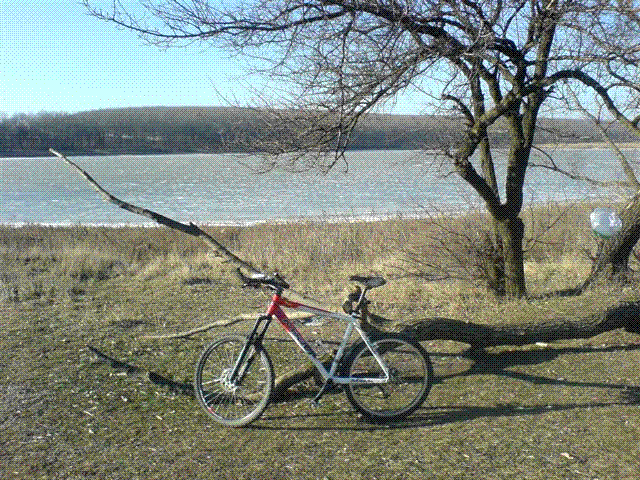 DSC07437.GIF