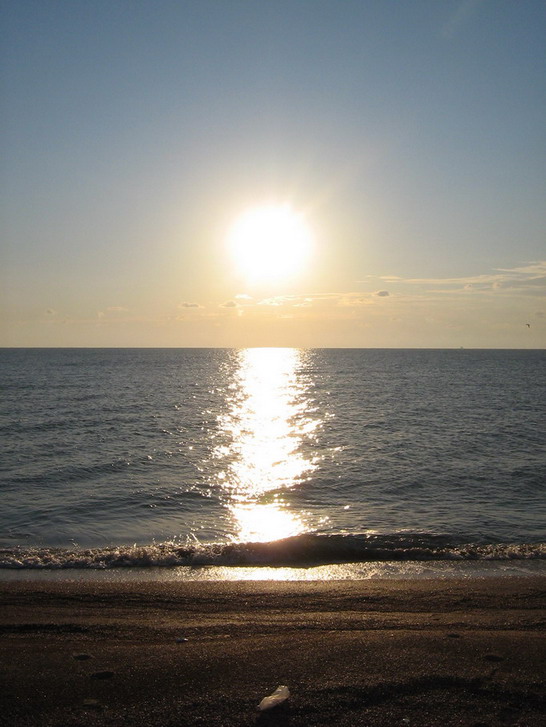 IMG_3852_resize_resize.jpg