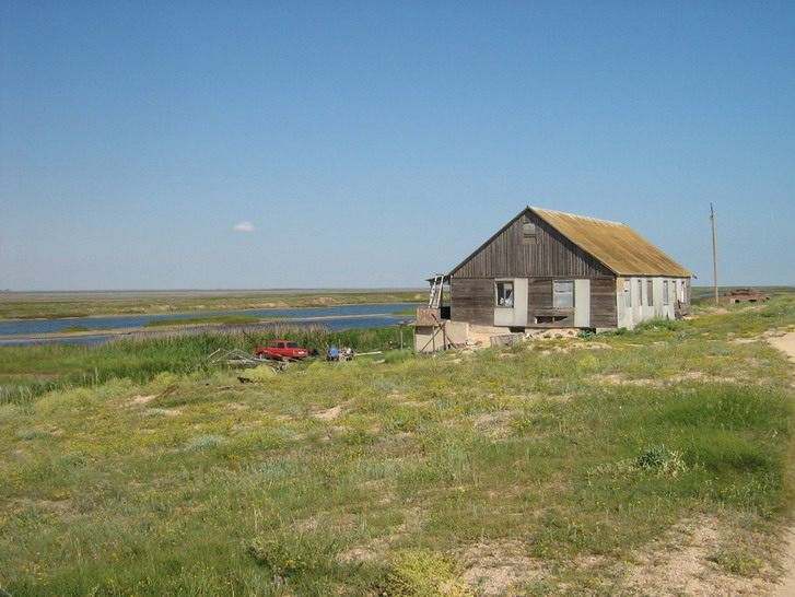 IMG_3888_resize_resize.jpg