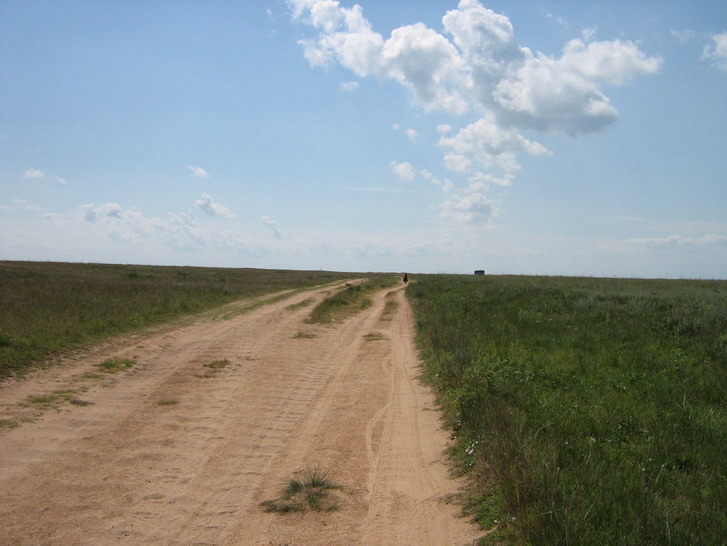 IMG_3893_resize_resize.jpg
