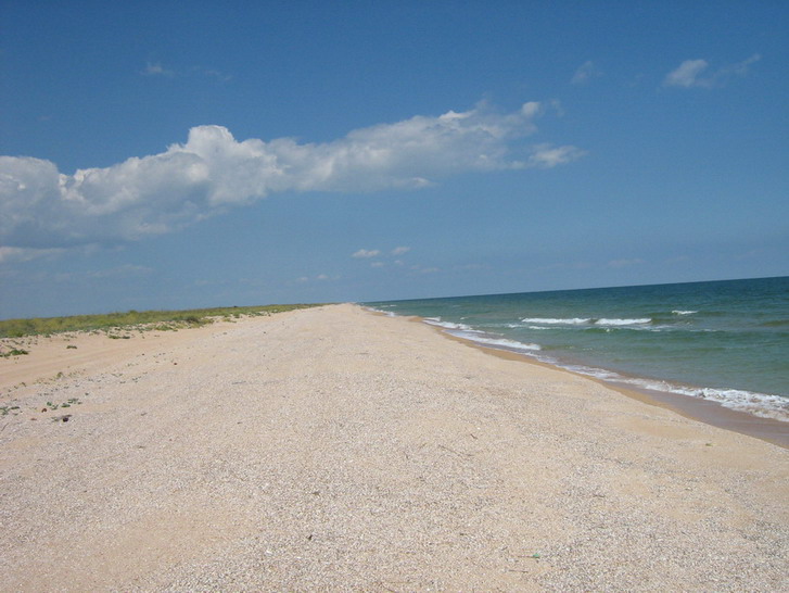 IMG_3899_resize_resize.jpg
