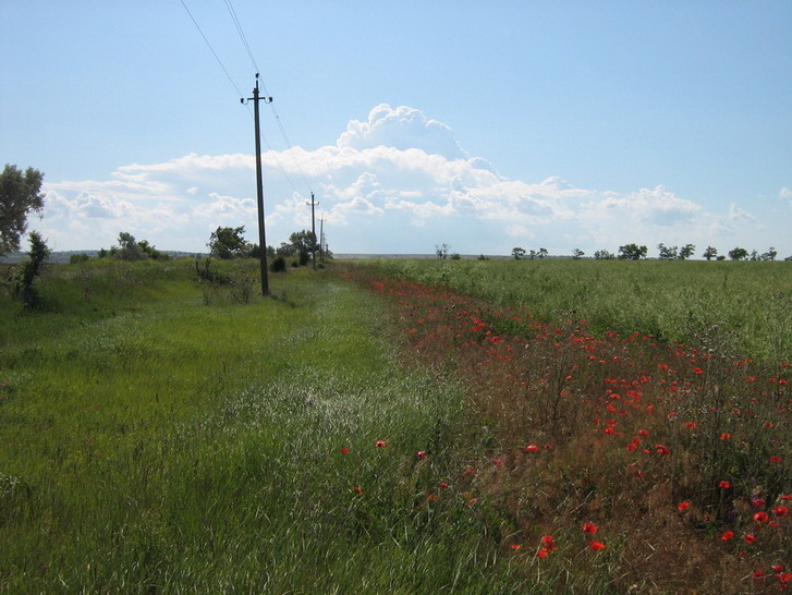 IMG_4027_resize_resize.jpg