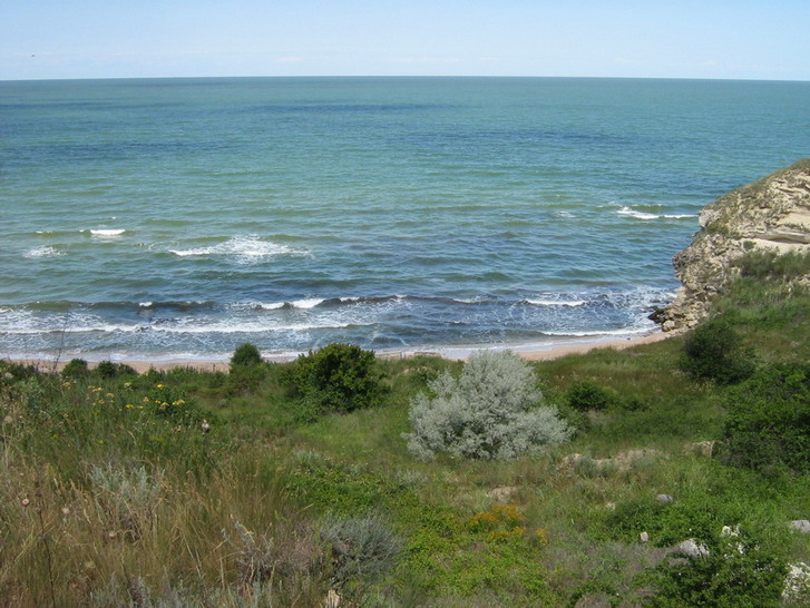 IMG_4079_resize_resize.jpg