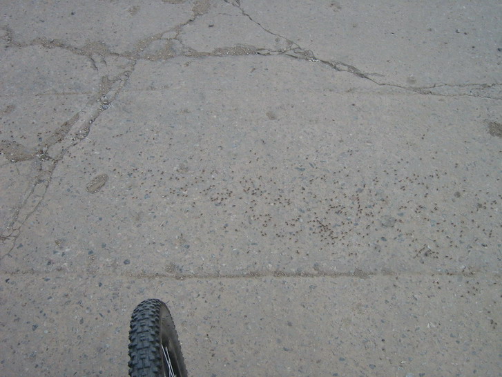 IMG_4108_resize_resize.jpg