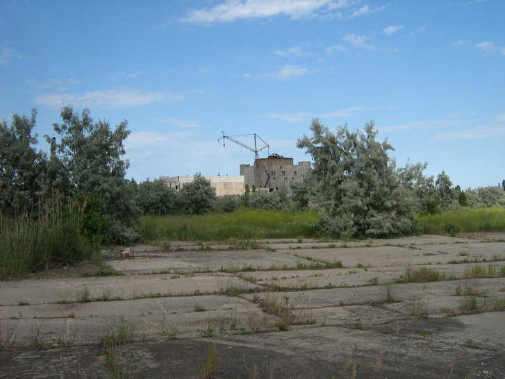 IMG_4105_resize_resize.jpg