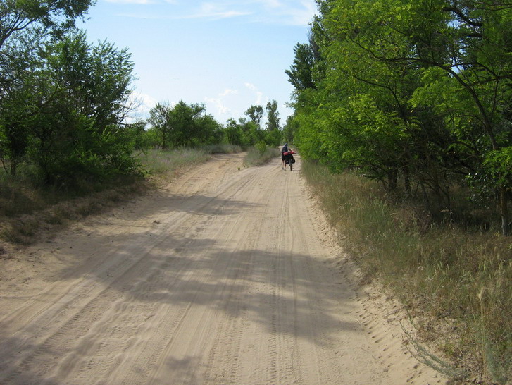 IMG_4153_resize_resize.jpg