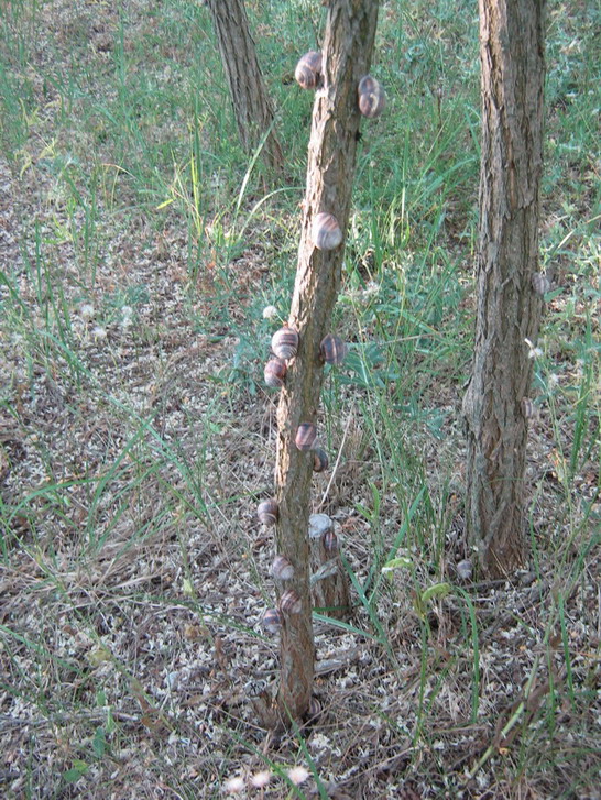 IMG_4135_resize_resize.jpg