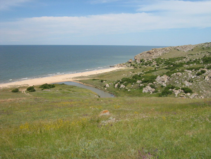 IMG_4227_resize_resize.jpg