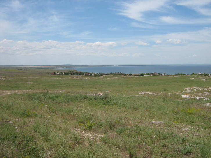 IMG_4181_resize_resize.jpg
