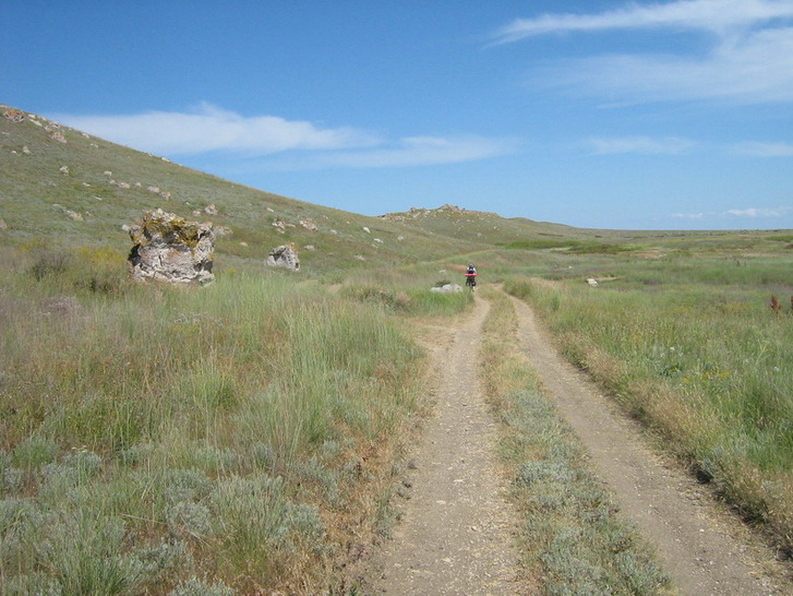 IMG_4245_resize_resize.jpg