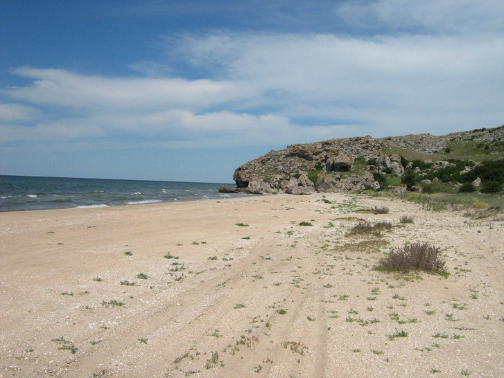 IMG_4236_resize_resize.jpg
