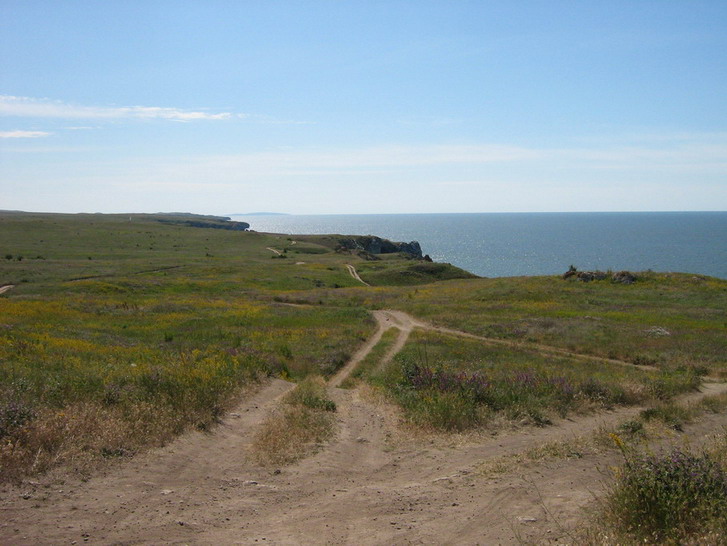 IMG_4259_resize_resize.jpg