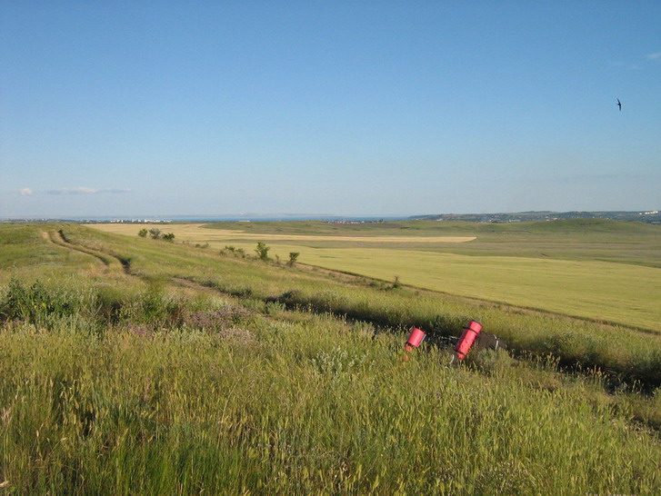 IMG_4302_resize_resize.jpg