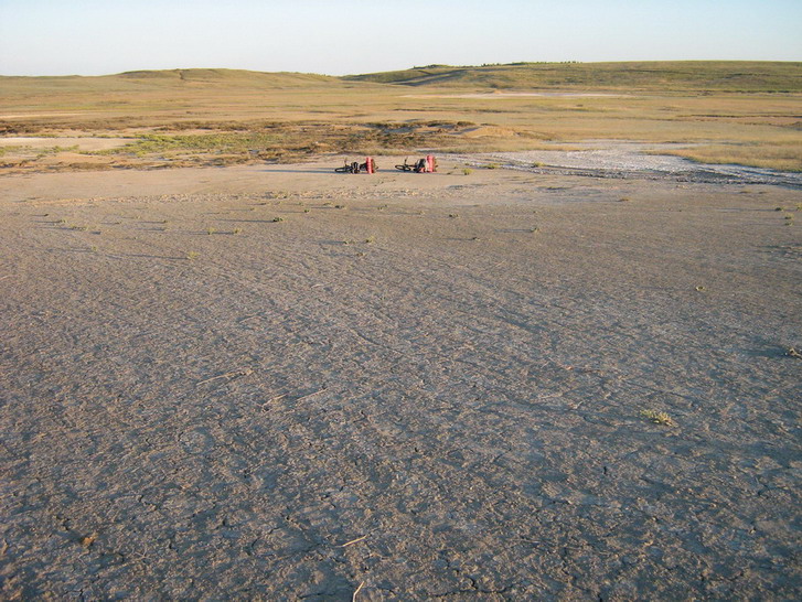 IMG_4313_resize_resize.jpg