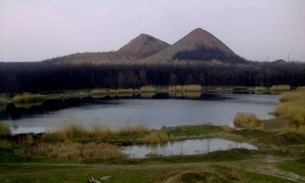 05_337.jpg