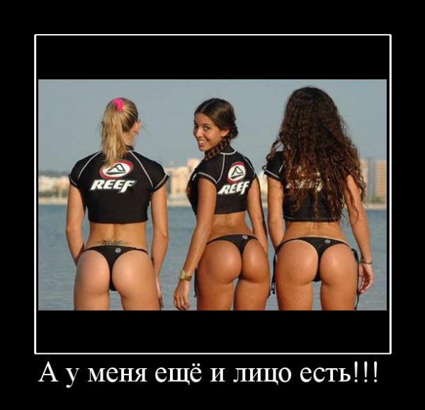 277847_272360.jpg