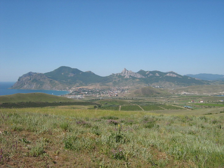 IMG_4899_resize_resize.jpg