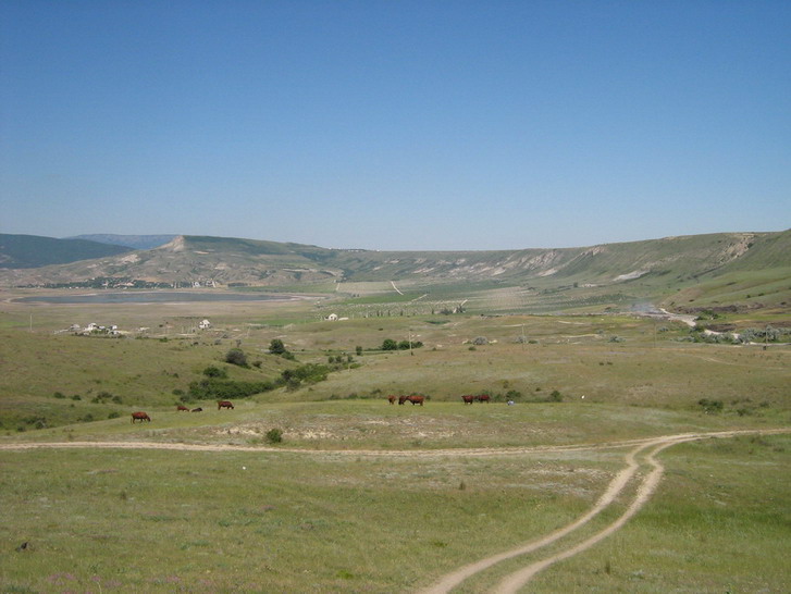 IMG_4897_resize_resize.jpg