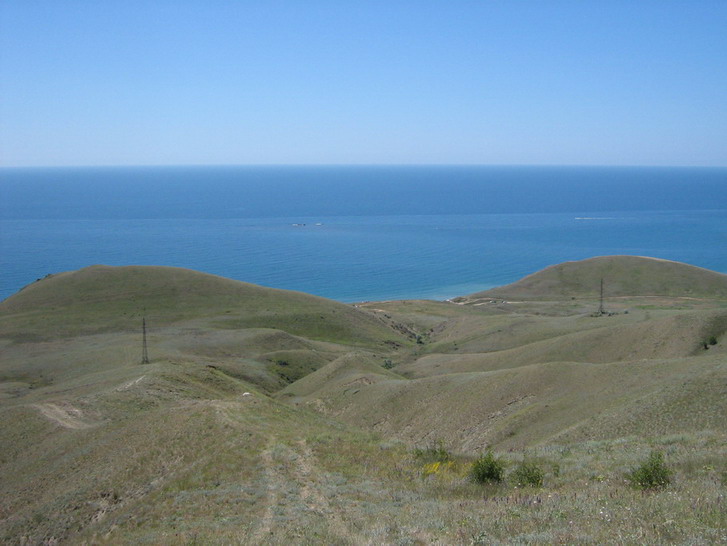 IMG_4931_resize_resize.jpg