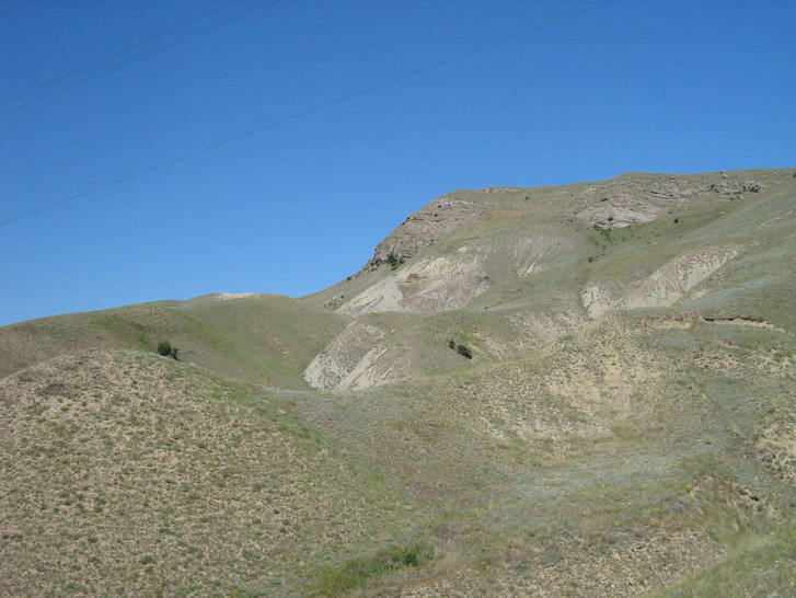 IMG_4940_resize_resize.jpg