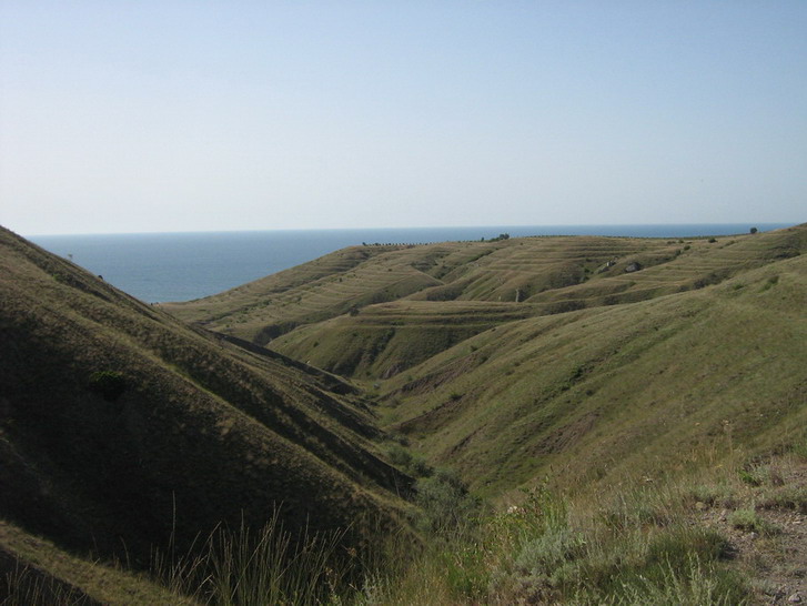 IMG_5097_resize_resize.jpg