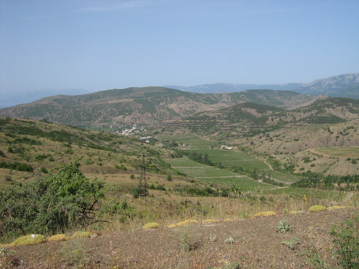 IMG_5191_resize_resize.jpg