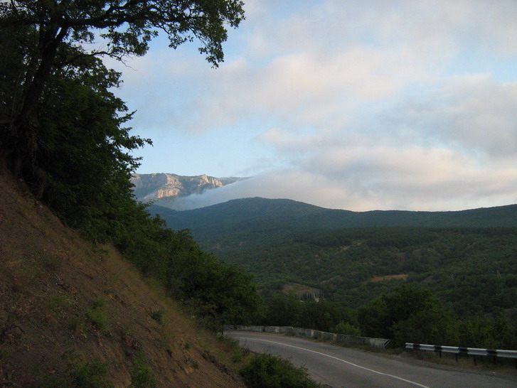 IMG_5251_resize_resize.jpg