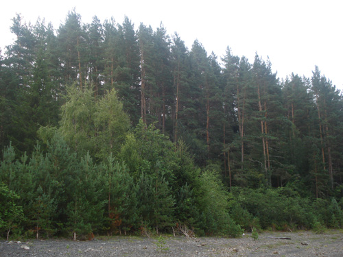 DSC05791.jpg