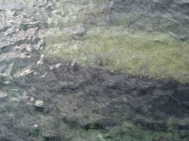 IMG_6295_resize.JPG
